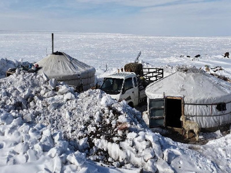 Зудтай аймаг, сумдад 318 резидент эмчээр хүч нэмэгдүүлэв